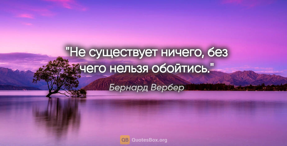 Бернард Вербер цитата: "Не существует ничего, без чего нельзя обойтись."