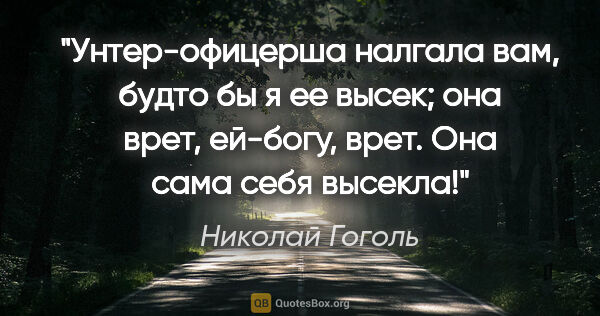 Николай Гоголь цитата: ""Унтер-офицерша налгала вам, будто бы я ее высек; она врет,..."