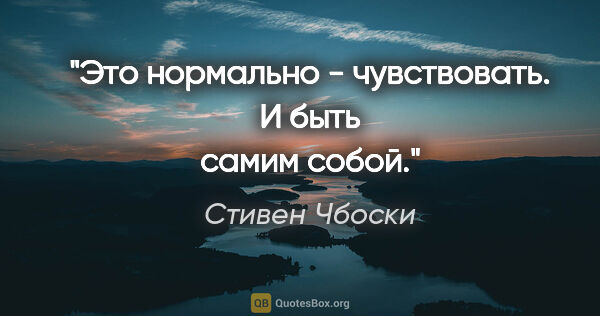 Стивен Чбоски цитата: ""Это нормально - чувствовать. И быть самим собой"."