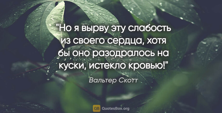 Вальтер Скотт цитата: "Но я вырву эту слабость из своего сердца, хотя бы оно..."