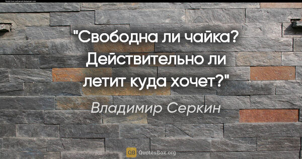 Владимир Серкин цитата: "Свободна ли чайка? Действительно ли летит куда хочет?"