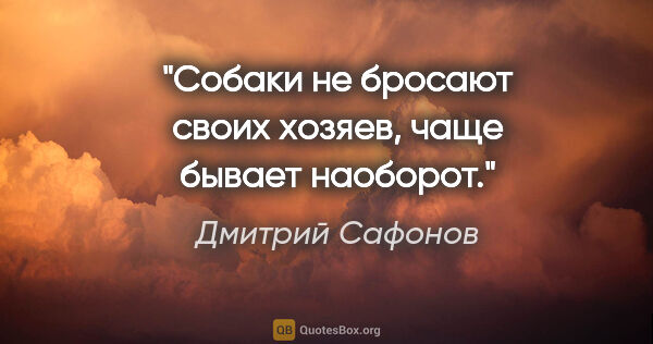 Дмитрий Сафонов цитата: ""Собаки не бросают своих хозяев, чаще бывает наоборот"."