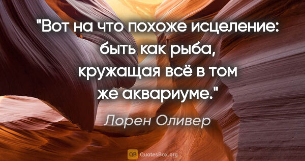 Лорен Оливер цитата: "Вот на что похоже исцеление: быть как рыба, кружащая всё в том..."