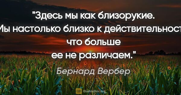 Бернард Вербер цитата: "Здесь мы как близорукие. Мы настолько близко к..."