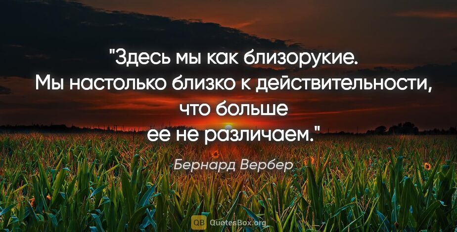 Бернард Вербер цитата: "Здесь мы как близорукие. Мы настолько близко к..."