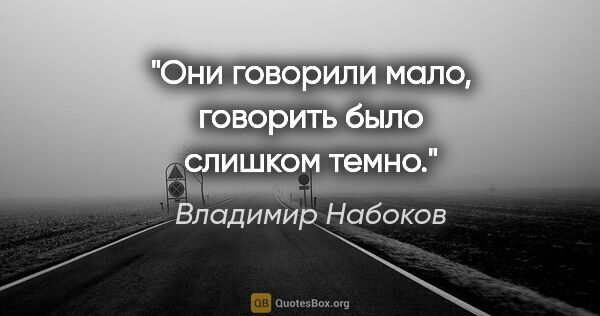 Владимир Набоков цитата: "Они говорили мало, говорить было слишком темно."