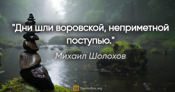 Михаил Шолохов цитата: "Дни шли воровской, неприметной поступью."