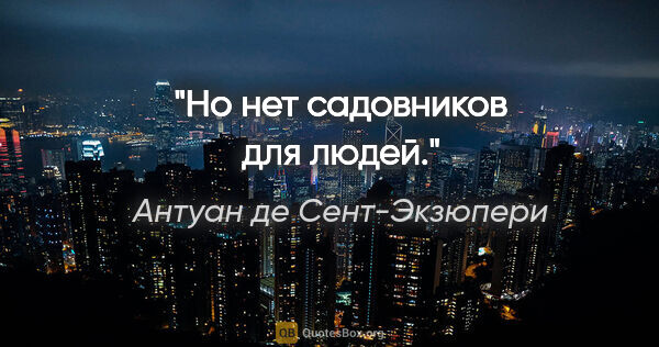 Антуан де Сент-Экзюпери цитата: "Но нет садовников для людей."