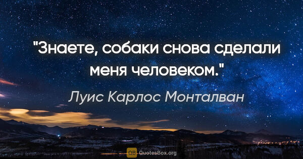 Луис Карлос Монталван цитата: "Знаете, собаки снова сделали меня человеком."