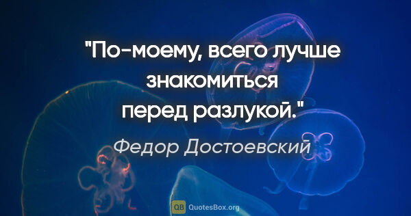Федор Достоевский цитата: "По-моему, всего лучше знакомиться перед разлукой."