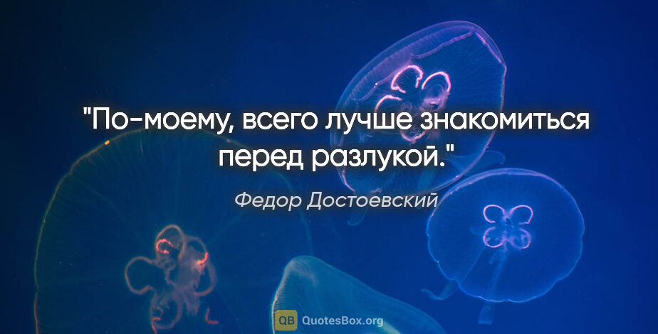 Федор Достоевский цитата: "По-моему, всего лучше знакомиться перед разлукой."