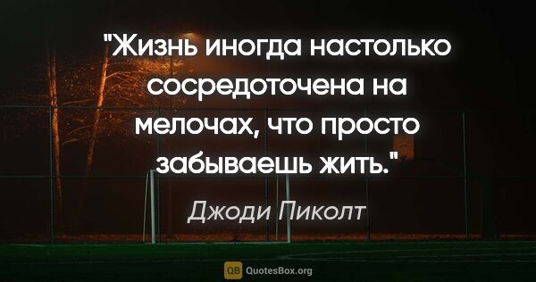 Джоди Пиколт цитата: "Жизнь иногда настолько сосредоточена на мелочах, что просто..."