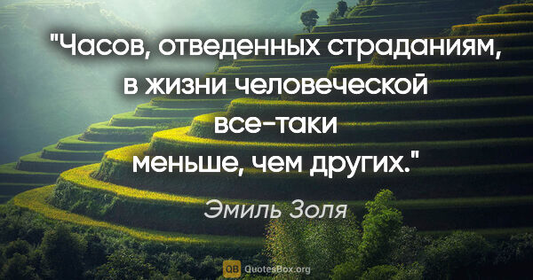 Эмиль Золя цитата: "Часов, отведенных страданиям, в жизни человеческой все-таки..."