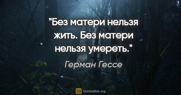 Герман Гессе цитата: "Без матери нельзя жить. Без матери нельзя умереть."