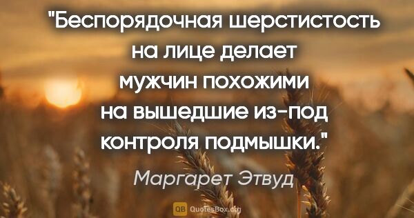 Маргарет Этвуд цитата: "Беспорядочная шерстистость на лице делает мужчин похожими на..."