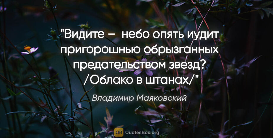 Владимир Маяковский цитата: "Видите – 

небо опять иудит

пригорошнью обрызганных..."