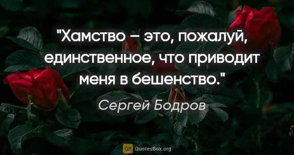 Сергей Бодров цитата: "Хамство – это, пожалуй, единственное, что приводит меня в..."