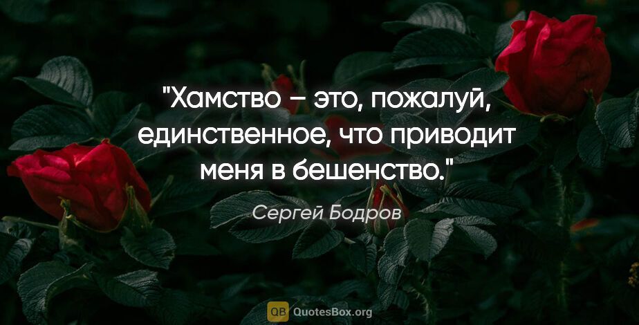 Сергей Бодров цитата: "Хамство – это, пожалуй, единственное, что приводит меня в..."