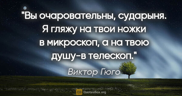 Виктор Гюго цитата: "Вы очаровательны, сударыня. Я гляжу на твои ножки в микроскоп,..."