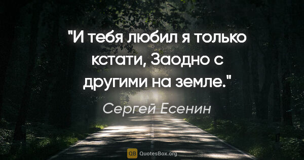 Сергей Есенин цитата: "И тебя любил я только кстати,

Заодно с другими на земле."