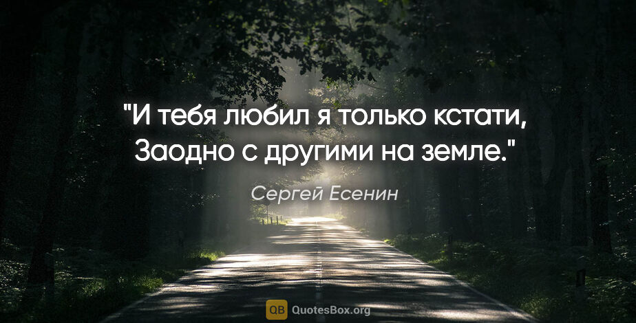 Сергей Есенин цитата: "И тебя любил я только кстати,

Заодно с другими на земле."