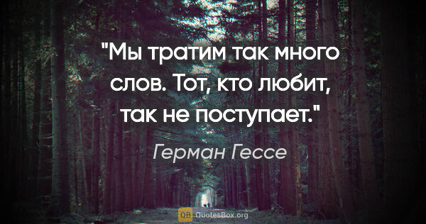 Герман Гессе цитата: "Мы тратим так много слов. Тот, кто любит, так не поступает."