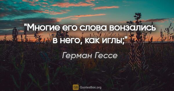 Герман Гессе цитата: "Многие его слова вонзались в него, как иглы;"