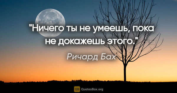 Ричард Бах цитата: "Ничего ты не умеешь, пока не докажешь этого."