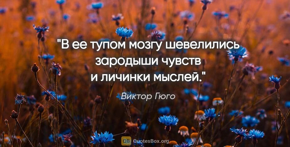 Виктор Гюго цитата: "«В ее тупом мозгу шевелились зародыши чувств и личинки мыслей.»"