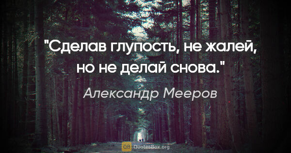Александр Мееров цитата: "Сделав глупость, не жалей, но не делай снова."