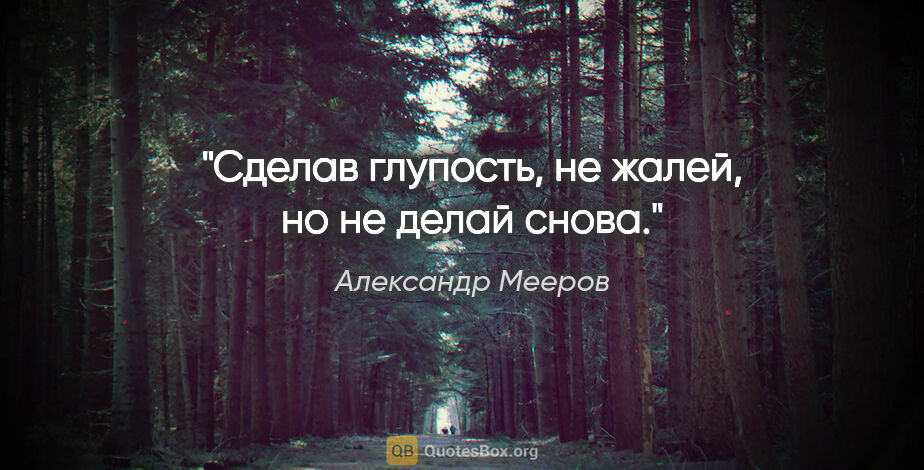 Александр Мееров цитата: "Сделав глупость, не жалей, но не делай снова."