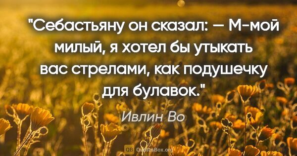 Ивлин Во цитата: "Себастьяну он сказал:

— М-мой милый, я хотел бы утыкать вас..."