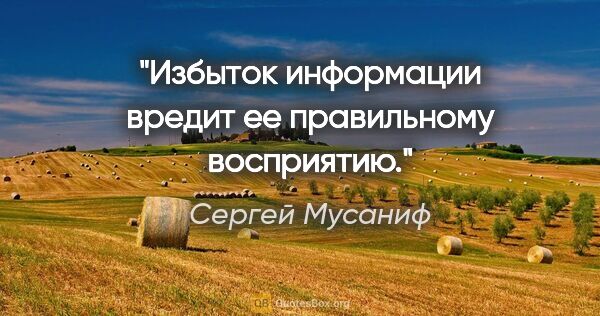 Сергей Мусаниф цитата: "Избыток информации вредит ее правильному восприятию."