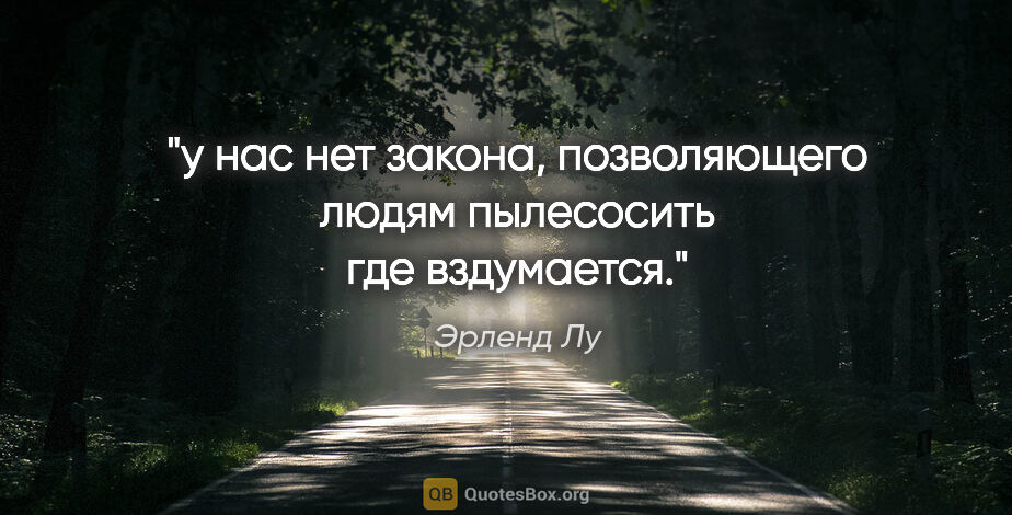 Эрленд Лу цитата: "у нас нет закона, позволяющего людям пылесосить где вздумается."