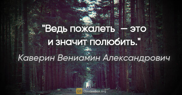 Каверин Вениамин Александрович цитата: "Ведь пожалеть — это и значит полюбить."