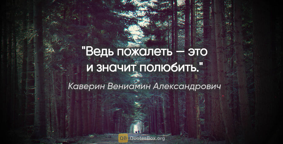 Каверин Вениамин Александрович цитата: "Ведь пожалеть — это и значит полюбить."