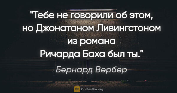 Бернард Вербер цитата: "Тебе не говорили об этом, но Джонатаном Ливингстоном из романа..."