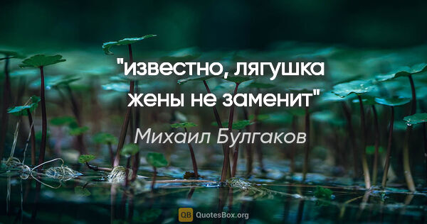 Михаил Булгаков цитата: "известно, лягушка  жены не заменит"