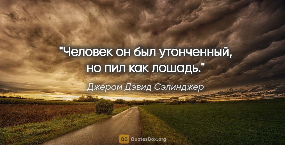 Джером Дэвид Сэлинджер цитата: "Человек он был утонченный, но пил как лошадь."