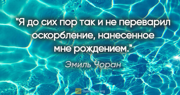 Эмиль Чоран цитата: "Я до сих пор так и не переварил оскорбление, нанесенное мне..."