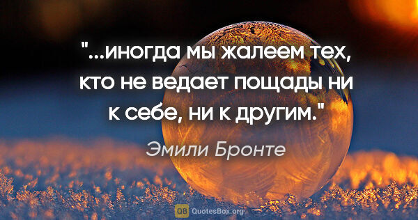 Эмили Бронте цитата: "иногда мы жалеем тех, кто не ведает пощады ни к себе, ни к..."