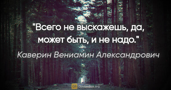Каверин Вениамин Александрович цитата: "Всего не выскажешь, да, может быть, и не надо."