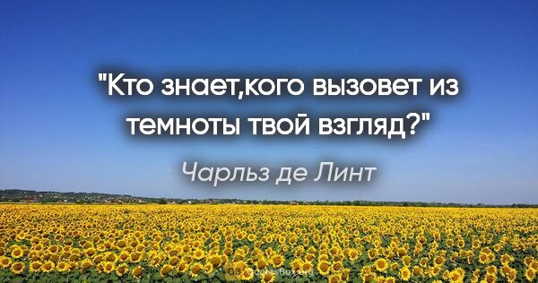 Чарльз де Линт цитата: "Кто знает,кого вызовет из темноты твой взгляд?"