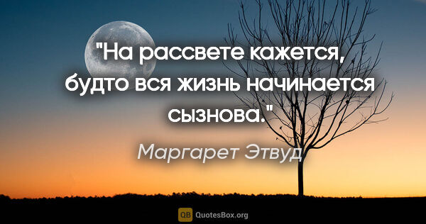 Маргарет Этвуд цитата: "На рассвете кажется, будто вся жизнь начинается сызнова."