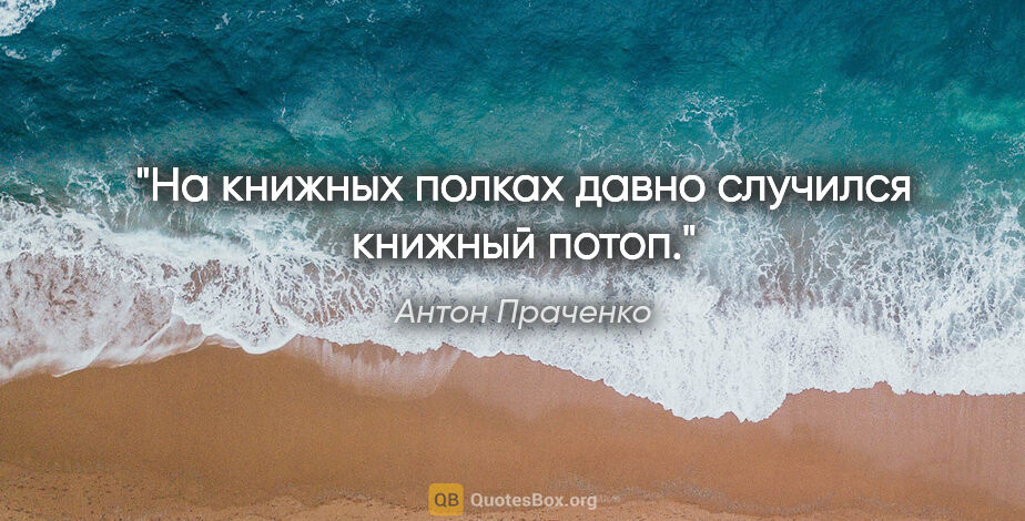 Антон Праченко цитата: "На книжных полках давно случился книжный потоп."