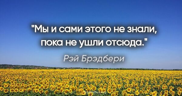 Рэй Брэдбери цитата: "Мы и сами этого не знали, пока не ушли отсюда."