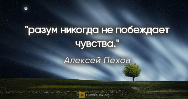 Алексей Пехов цитата: "разум никогда не побеждает чувства."