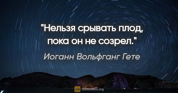 Иоганн Вольфганг Гете цитата: ""Нельзя срывать плод, пока он не созрел.""