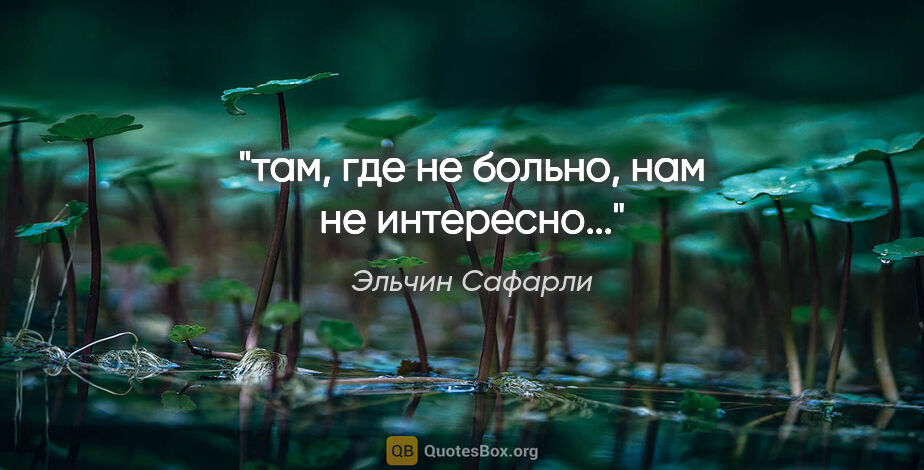 Эльчин Сафарли цитата: "там, где не больно, нам не интересно..."