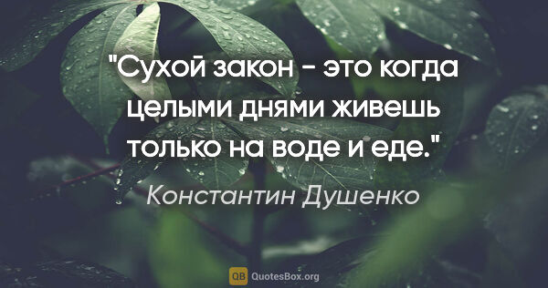 Константин Душенко цитата: "Сухой закон - это когда целыми днями живешь только на воде и еде."